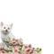 Cat-flowers - ingyenes png animált GIF