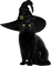 black cat by nataliplus