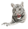 white tiger bp - Free PNG Animated GIF