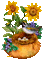 Flowers yellow bp - Darmowy animowany GIF animowany gif