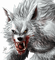 werewolf bp