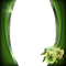 frame-green-with-flower
