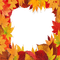 dolceluna autumn frame leaves - png ฟรี GIF แบบเคลื่อนไหว