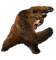 Kaz_Creations Bear - darmowe png animowany gif