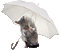 cat chat katze animal umbrella schirm  bouclier rain regen remuer autumn automne herbst tube  gif anime animated animation