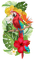 tropical flowers parrot fleurs tropique perroquet