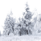 winter - zdarma png animovaný GIF
