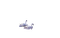cisne swan cygne Rosalia73 - Free PNG Animated GIF