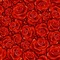 Kaz_Creations Deco Flowers   Backgrounds Background Colours - ingyenes png animált GIF