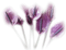 fleur - ücretsiz png animasyonlu GIF