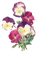 Stiefmütterchen, Blumen - png gratuito GIF animata