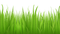 Kaz_Creations Grass - gratis png geanimeerde GIF
