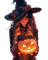 halloween, witch, herbst, autumn, automne - png grátis Gif Animado