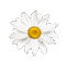 ♡§m3§♡  daisy flower white animated summer - GIF animé gratuit GIF animé
