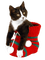 Kaz_Creations Christmas Deco Cats Cat Kitten - PNG gratuit GIF animé