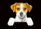 cane - GIF animasi gratis GIF animasi