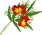 Kaz_Creations Deco Flowers Flower Colours - ücretsiz png animasyonlu GIF