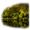 forest - kostenlos png Animiertes GIF