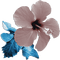 soave deco summer tropical flowers blue brown - 免费PNG 动画 GIF