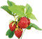 fresas - zadarmo png animovaný GIF