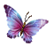 chantalmi papillon butterfly vert purple multicolore