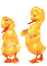 duck gif canard pâques