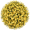 fleur jaune.Cheyenne63 - bezmaksas png animēts GIF