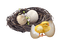 oeufs - 免费PNG 动画 GIF