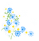 Coin fleurs marguerites fleurs blanches fleurs bleues nature Debutante blue flower white flower daisy - PNG gratuit GIF animé