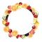 fruits frame circle