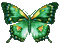 butterflies katrin - GIF animado gratis GIF animado