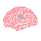 Brain Consciousness - Bezmaksas animēts GIF animēts GIF