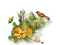 Obst, Zitrus - 免费PNG 动画 GIF