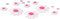 soave deco flowers scrap floor daisy white pink - ingyenes png animált GIF