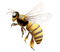 Kaz_Creations Bees Bee - zdarma png animovaný GIF