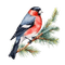 ptak - bezmaksas png animēts GIF