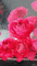 Róże deszcz tusz - Darmowy animowany GIF animowany gif