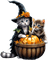 loly33 chat automne halloween - PNG gratuit GIF animé