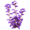 kikkapink deco scrap purple flowers bush - PNG gratuit GIF animé