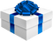 Kaz_Creations Gift Box Birthday Ribbons Bows  Occasion Blue