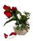 Tube Rose - bezmaksas png animēts GIF