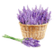 Lavender bouquet and basket - PNG gratuit GIF animé