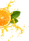 Y.A.M._ Citrus - бесплатно png анимированный гифка