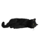 Kaz_Creations Cat Kitten - zdarma png animovaný GIF