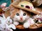 le chat au chapeau - zdarma png animovaný GIF