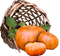 Autumn.Harvest.Pumpkins.Basket.Victoriabea - PNG gratuit GIF animé