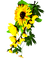 Flowers.Yellow - darmowe png animowany gif