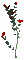 fleur rouge.Cheyenne63 - GIF animado grátis Gif Animado