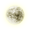 Full Moon.pleine Lune.Gothic.Victoriabea - PNG gratuit GIF animé