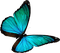 All  my butterflys - nemokama png animuotas GIF